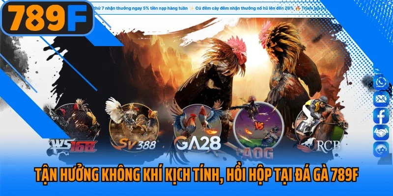 Tận hưởng không khí kịch tính, hồi hộp tại sảnh đá gà 789F